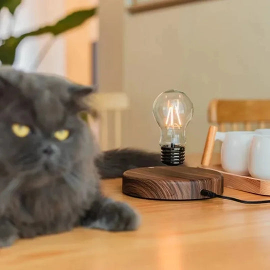MAGIC LEVITATING BULB - WOOD BASE